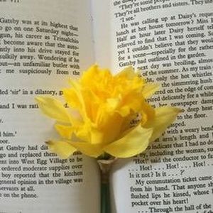 Meet your Posher, Ana